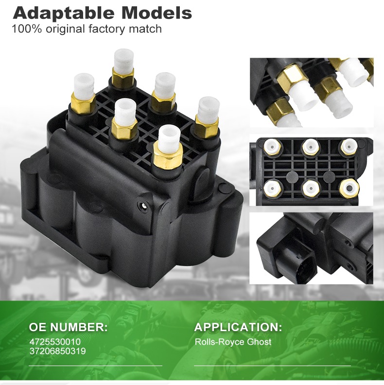27. Market Competition Analysis of Air Suspension Valve Blocks: Key Players and Trends